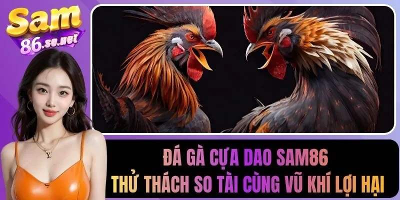 đá gà cựa dao