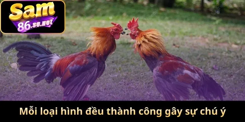 Mỗi loại hình đều thành công gây sự chú ý