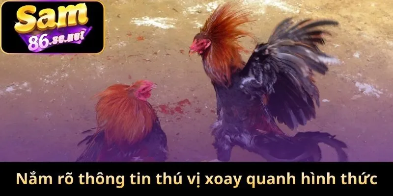 Nắm rõ thông tin thú vị xoay quanh hình thức