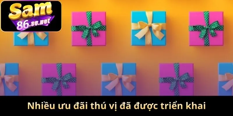 Nhiều ưu đãi thú vị đã được triển khai