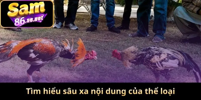 Tìm hiểu sâu xa nội dung của thể loại