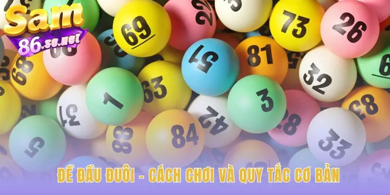 Hiểu đề đầu đuôi tìm đề 2 càng chính xác hiệu quả