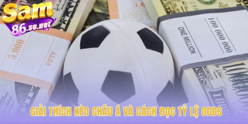 Tỷ lệ odds hé lộ ý đồ của nhà cái trong cá độ bóng đá